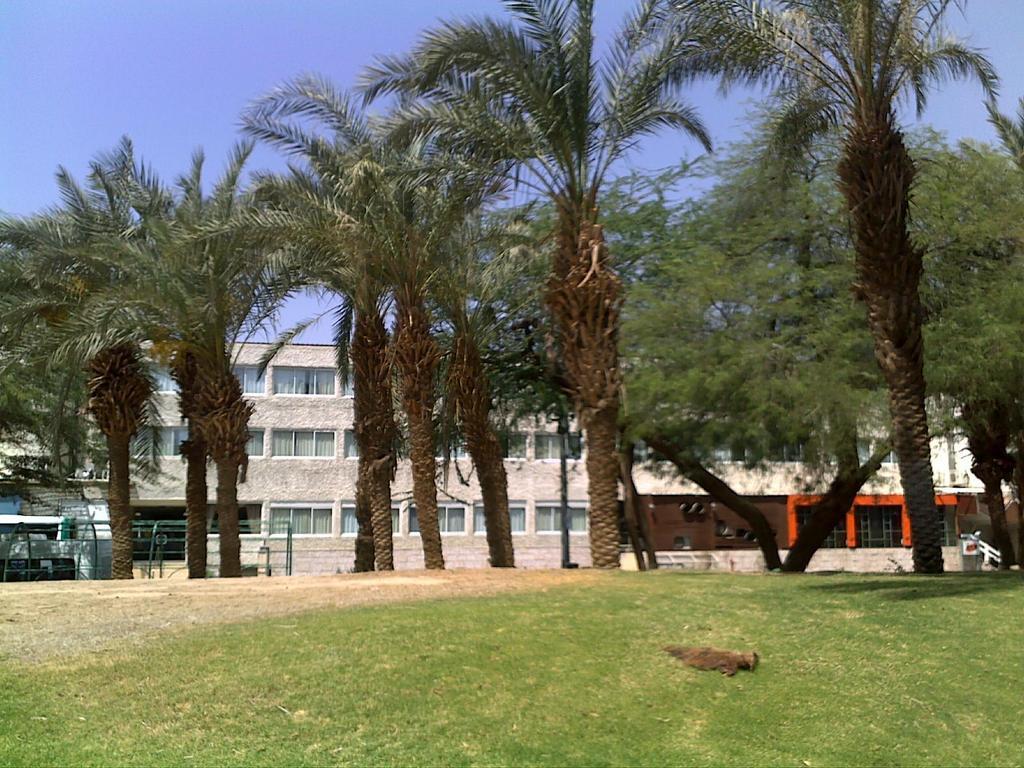 Dalia Hotel Eilat Luaran gambar